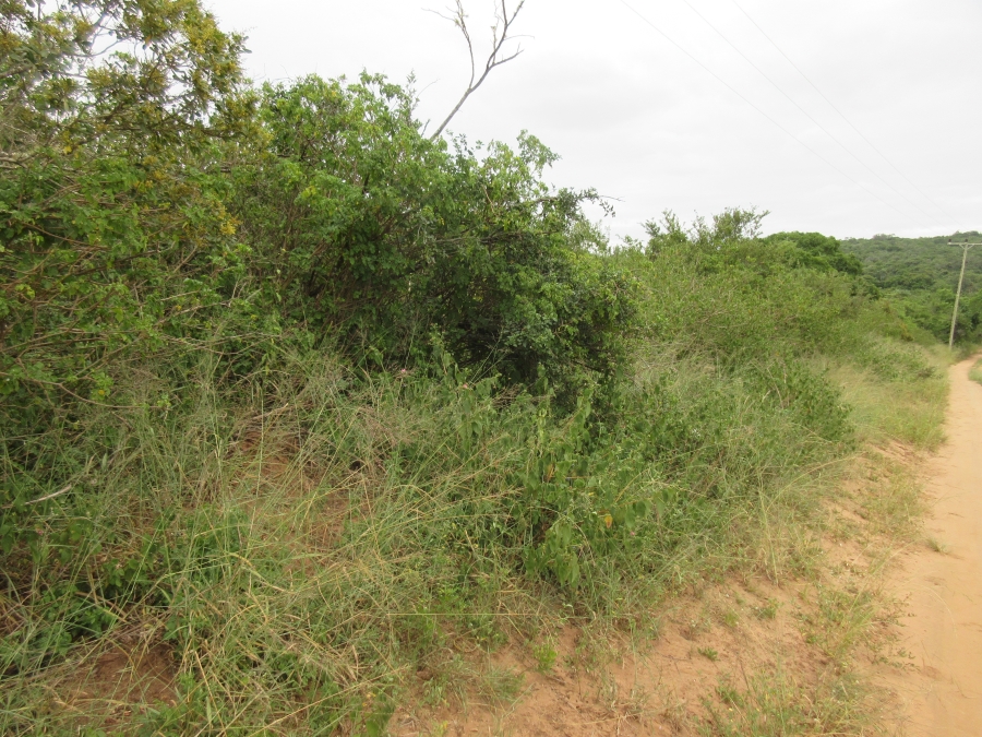 0 Bedroom Property for Sale in Bathurst Eastern Cape